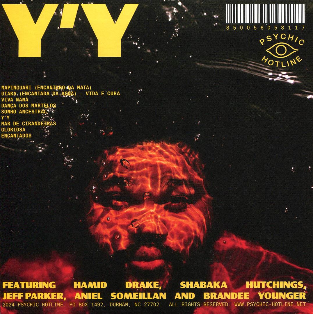 Y'y cover art
