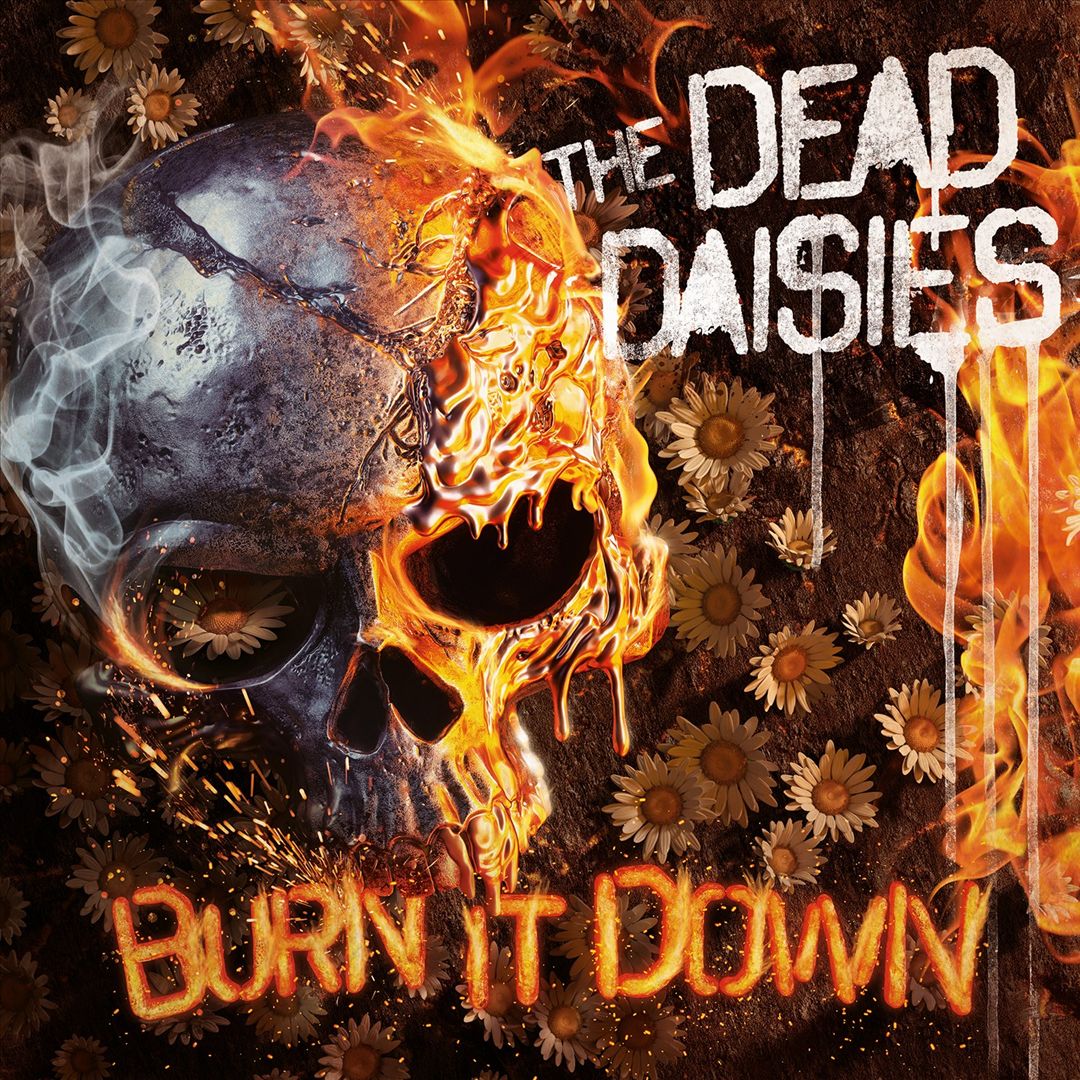 Burn It Down [LP & CD] cover art