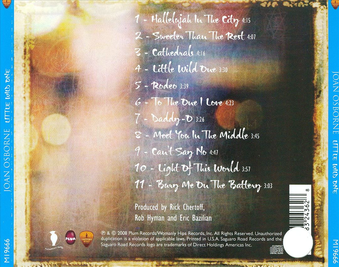 Little Wild One cover art