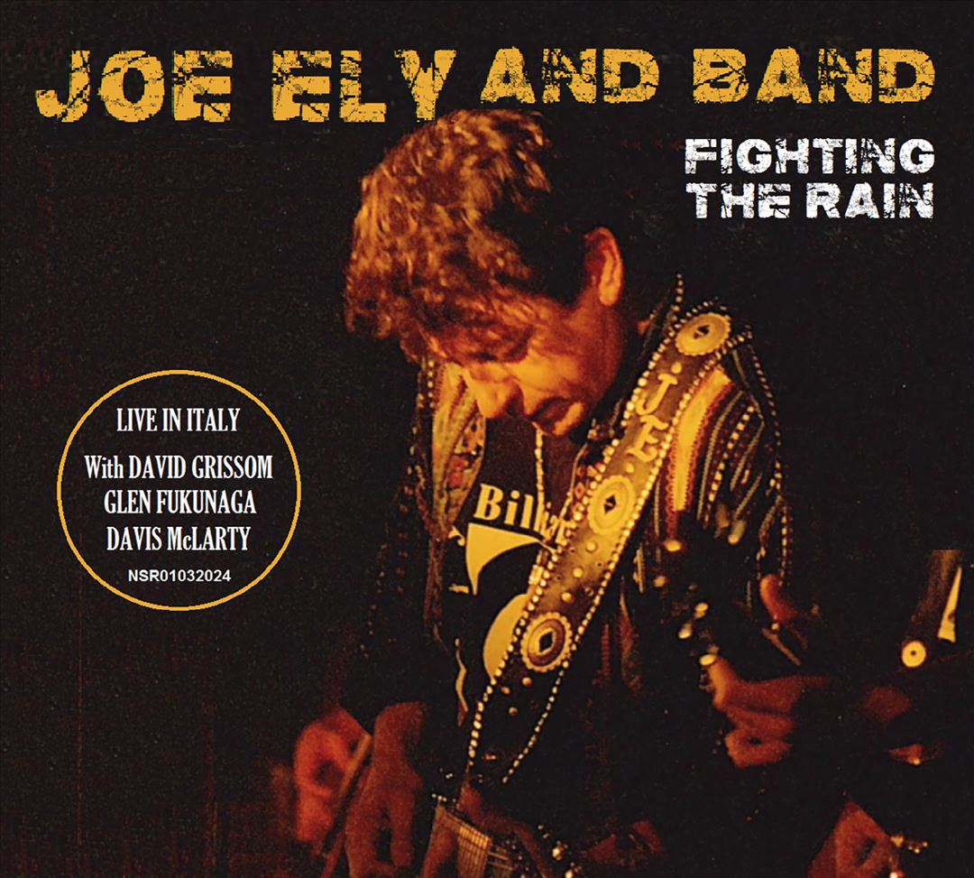 Fighting the Rain cover art