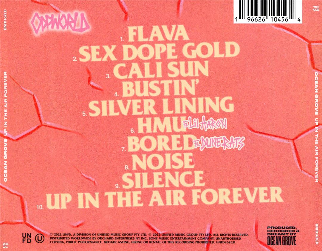 Up in the Air Forever cover art