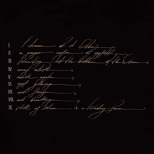 Dreams Are Not Enough cover art