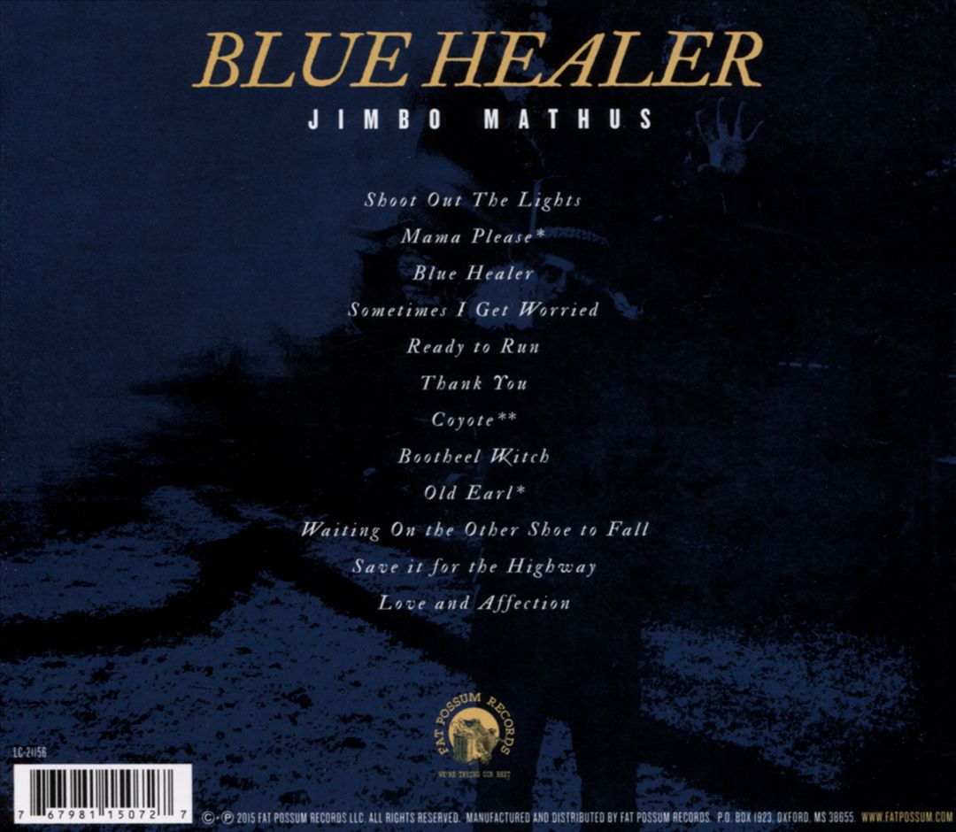 Blue Healer cover art