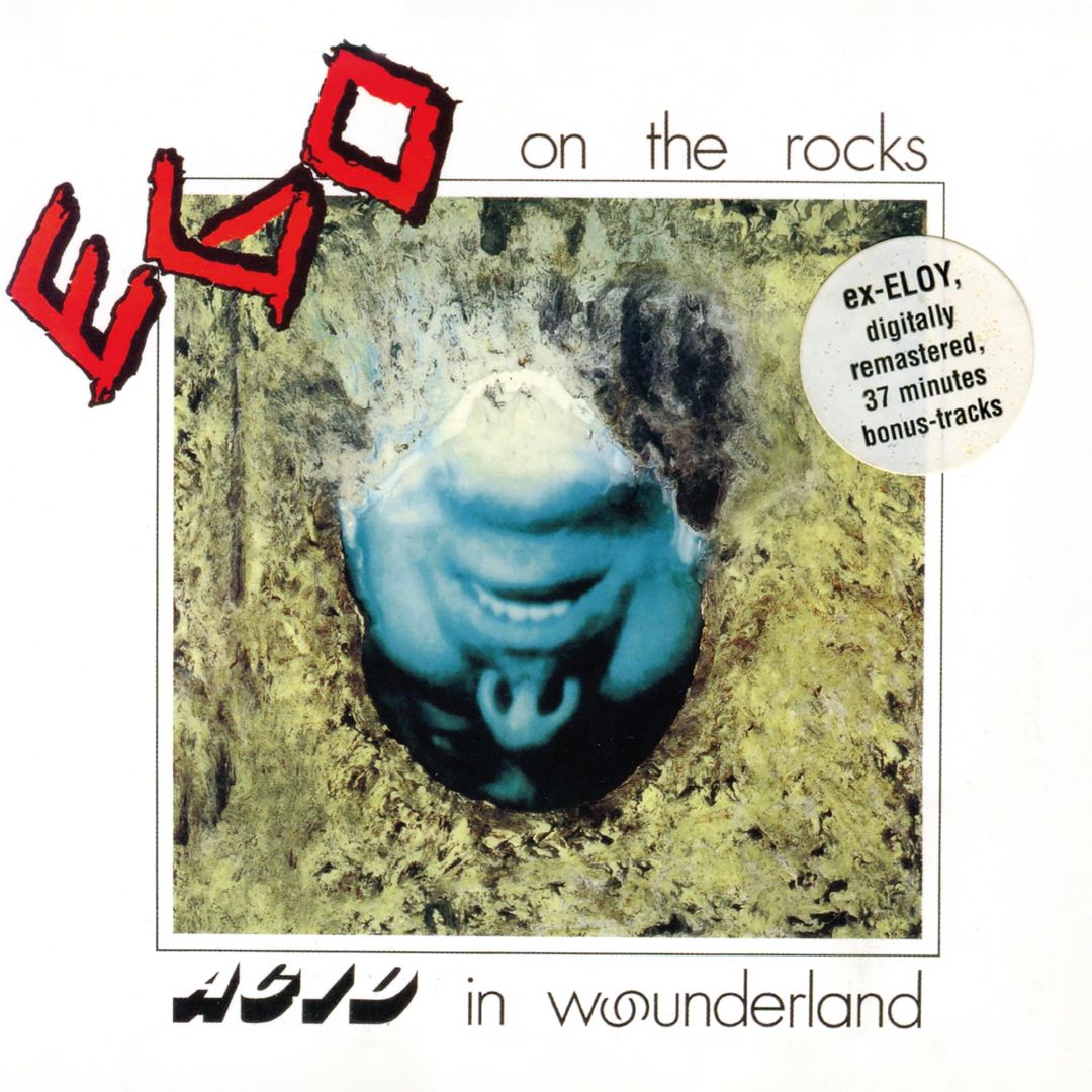 Acid in Wounderland cover art