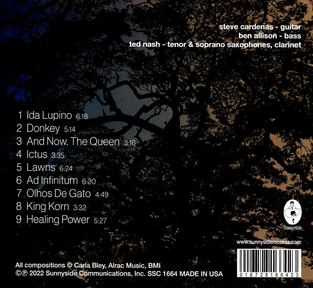 Healing Power - The Music of C cover art