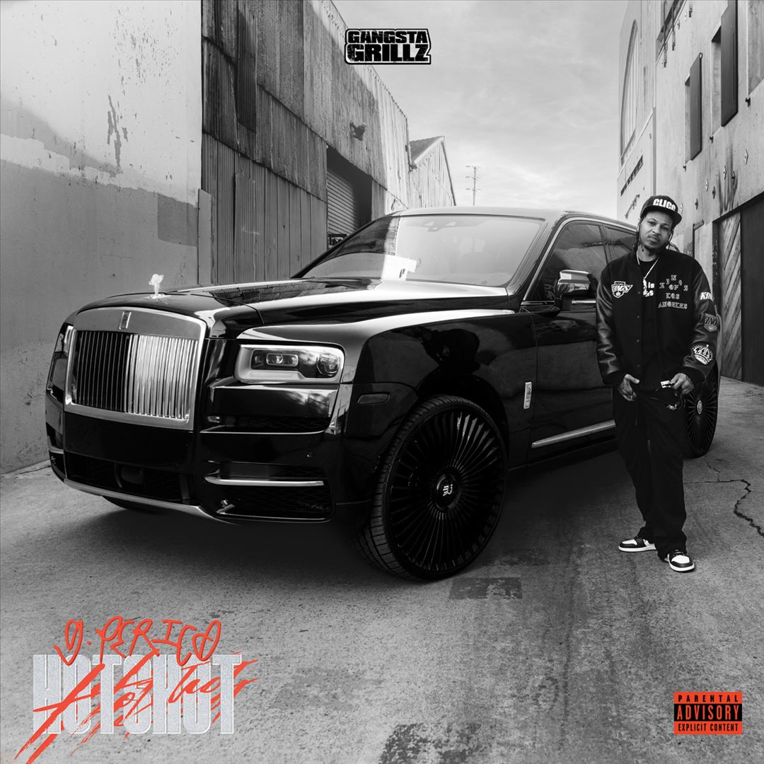 Hot Shot: Gangsta Grillz cover art