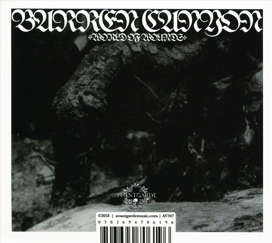 World of Wounds cover art