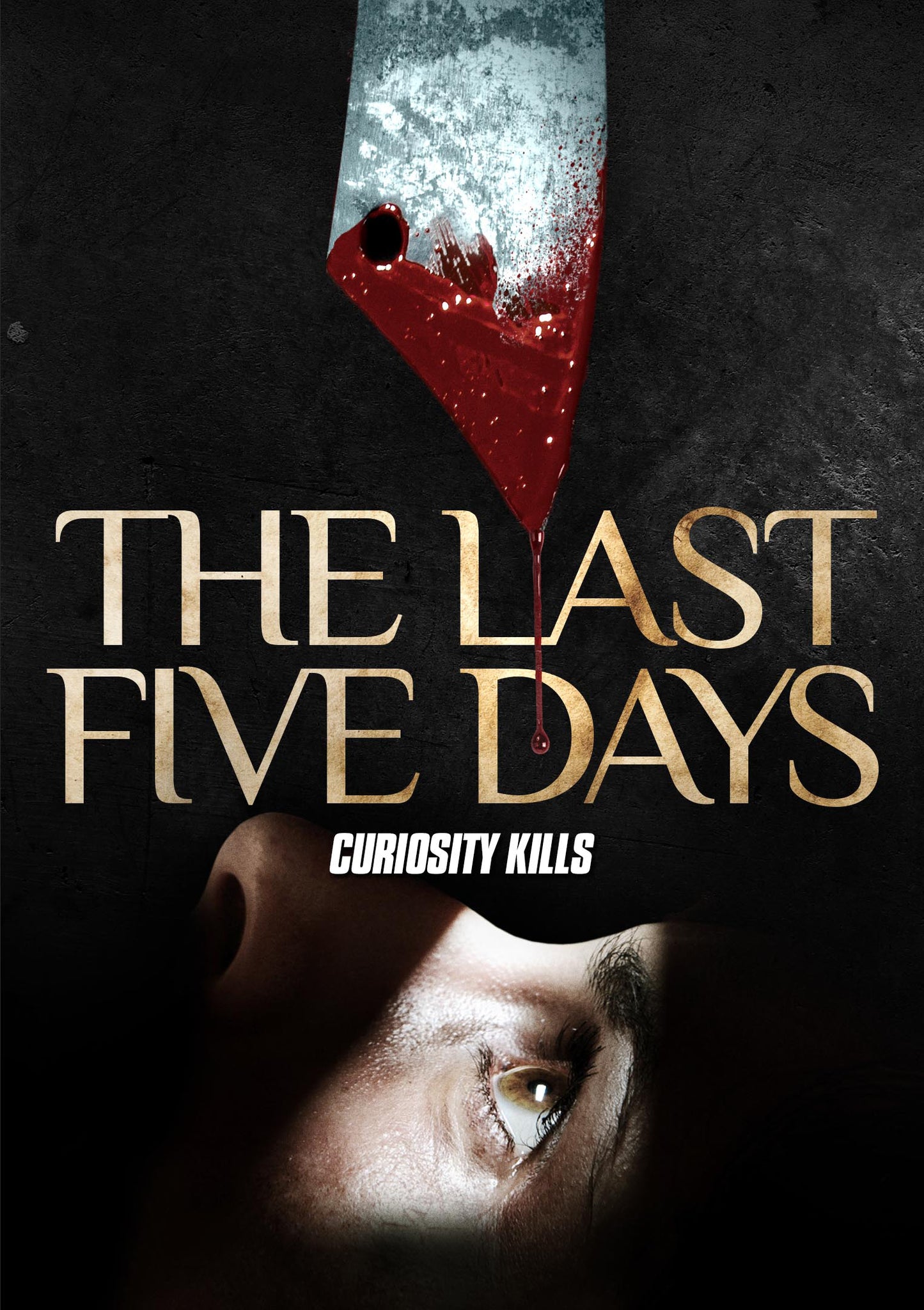 Last Five Days cover art