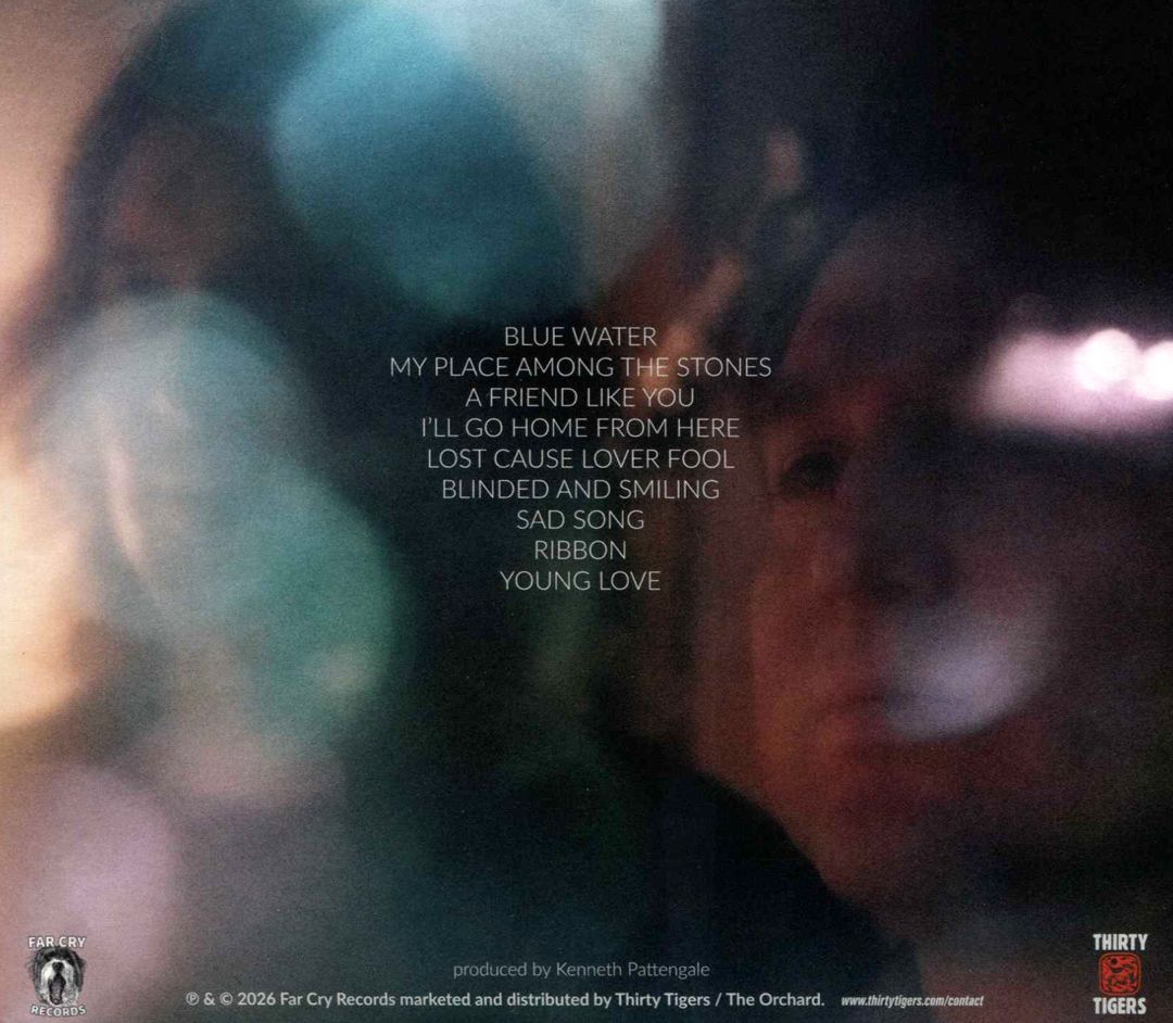 Lost Cause Lover Fool cover art