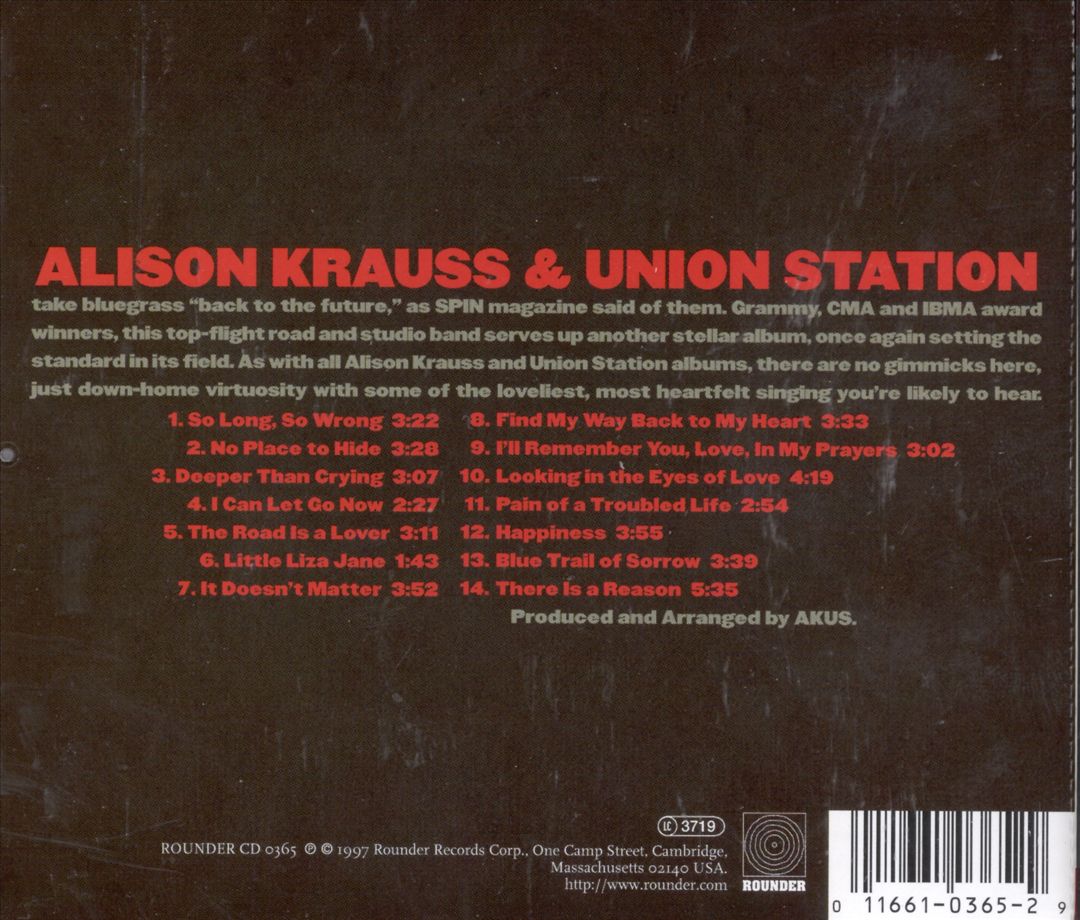 So Long So Wrong cover art