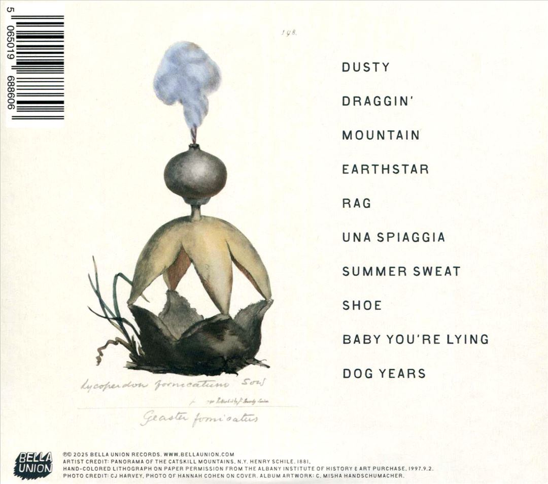 Earthstar Mountain cover art