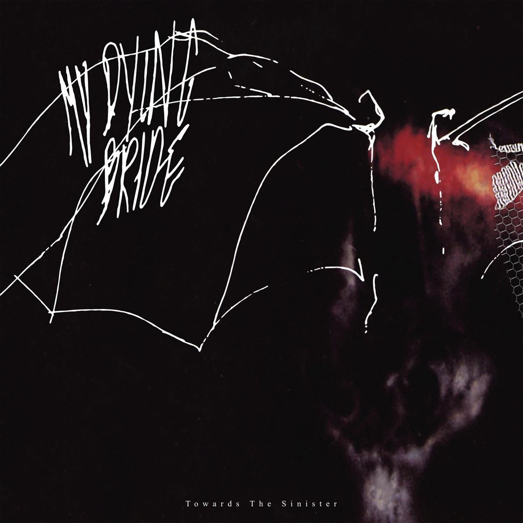 Towards the Sinister cover art