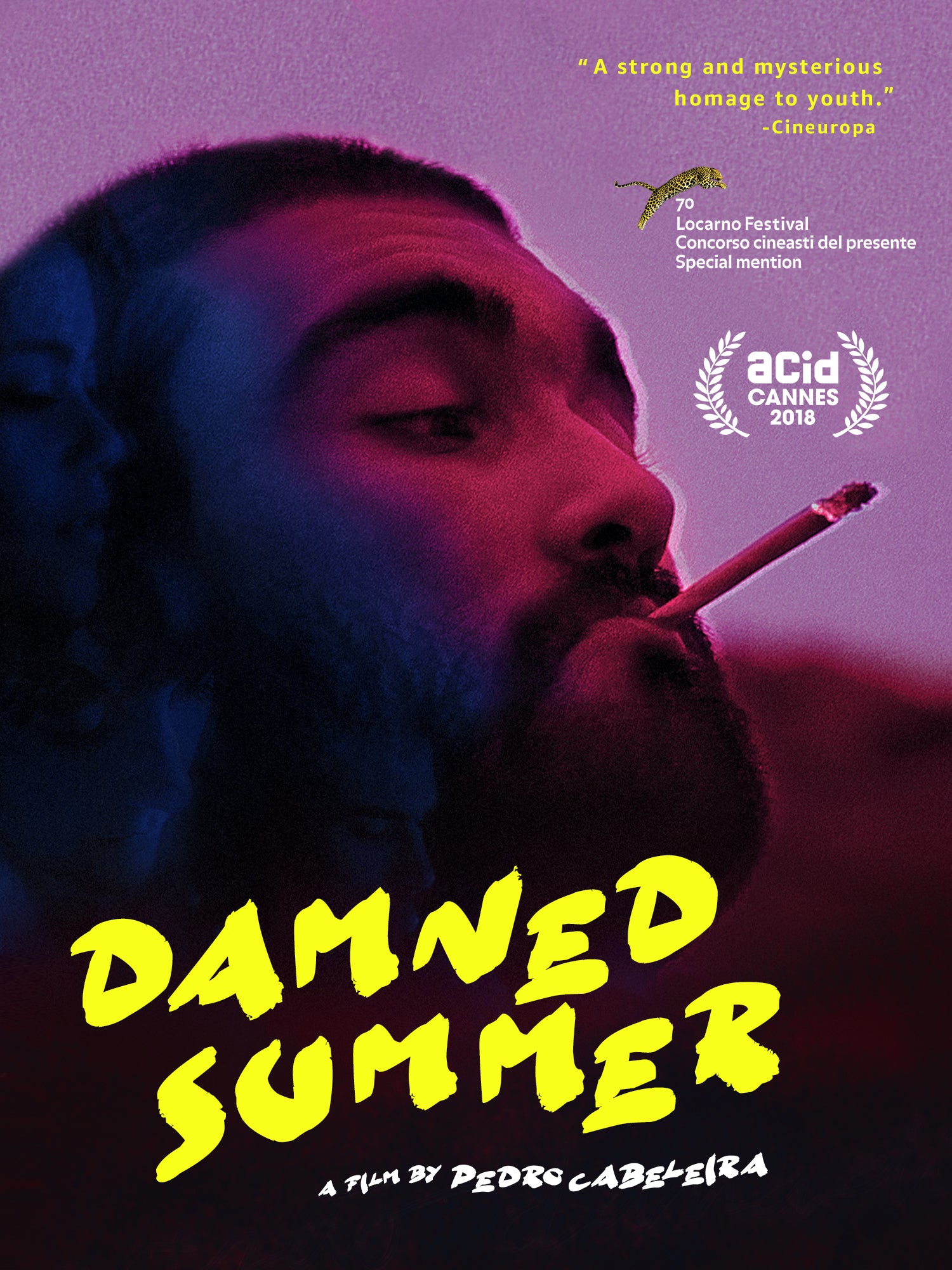Damned Summer cover art
