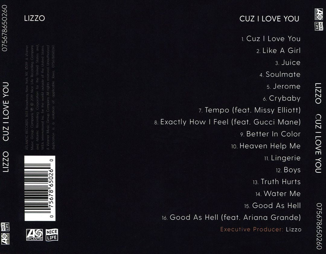 Cuz I Love You cover art