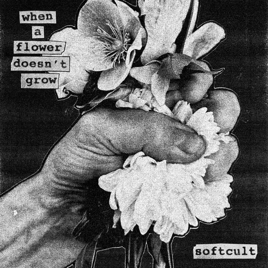 When a Flower Doesn't Grow cover art