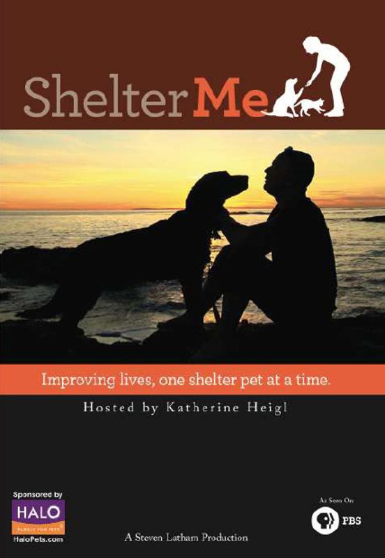 Shelter Me cover art