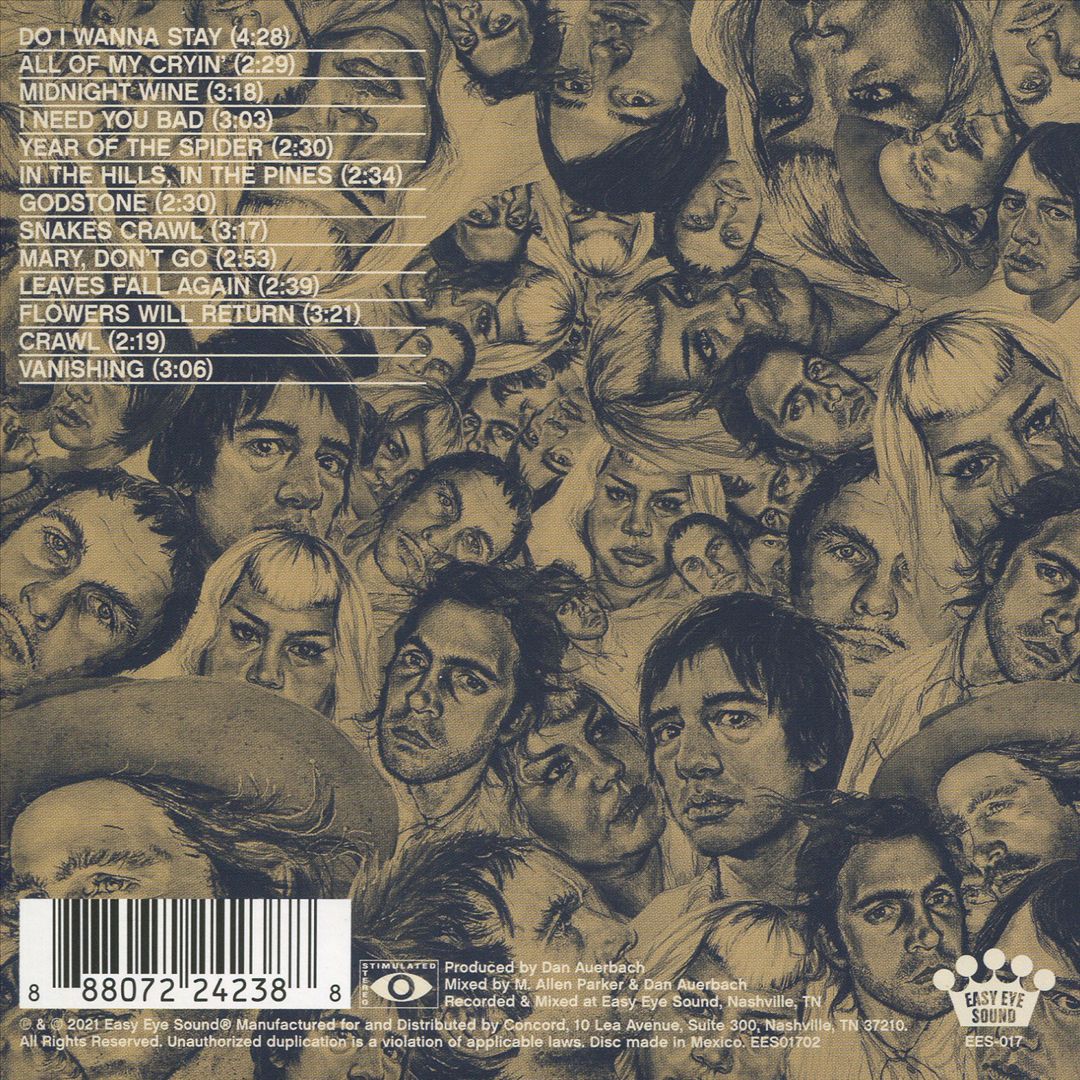 Year of the Spider cover art