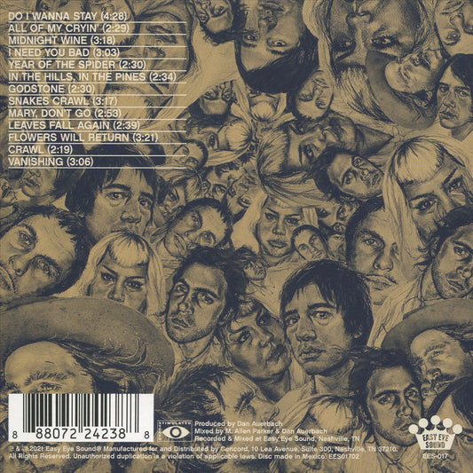 Year of the Spider cover art