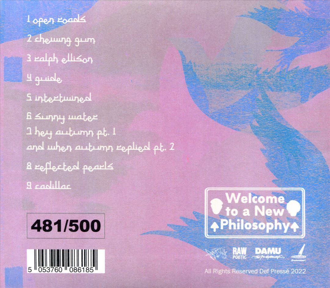 Laminated Skies  cover art