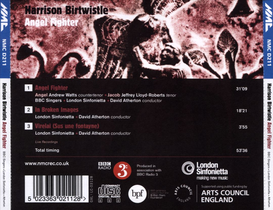 Birtwistle: Angel Fighter cover art