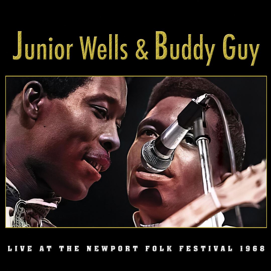 Live at the Newport Folk Festival, 1968  cover art