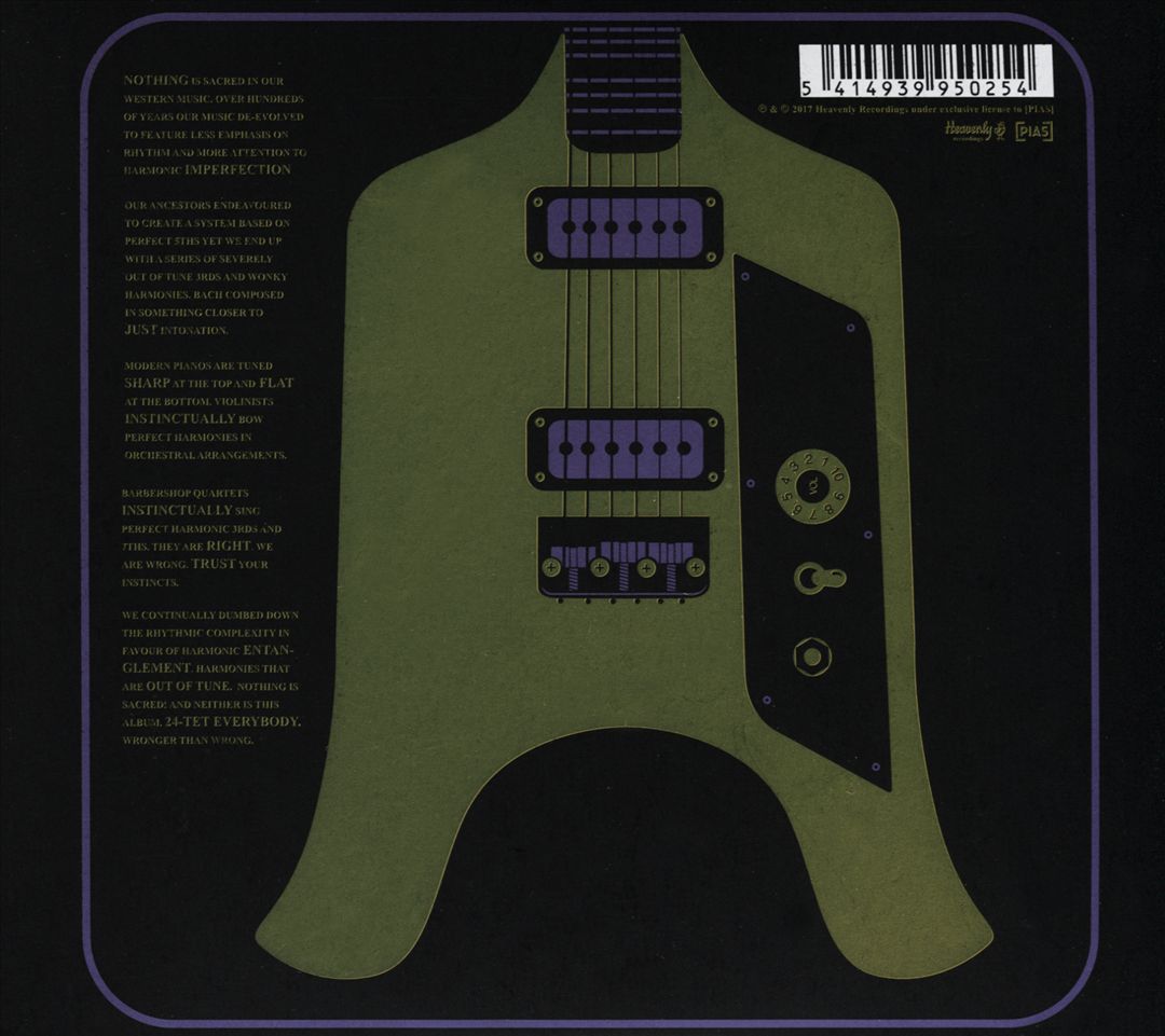 Flying Microtonal Banana cover art