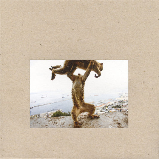 Dude Incredible [LP] cover art