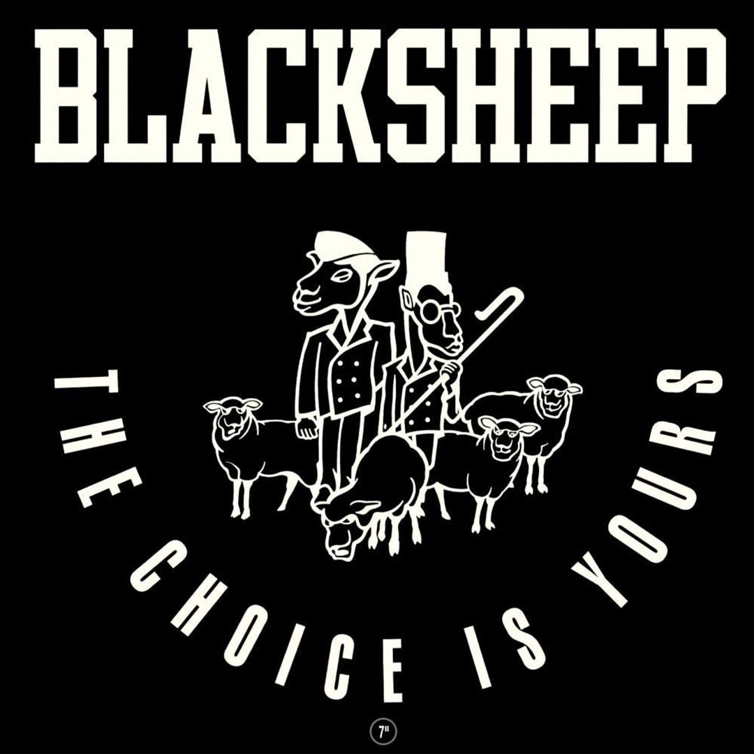 The Choice Is Yours [LP] cover art