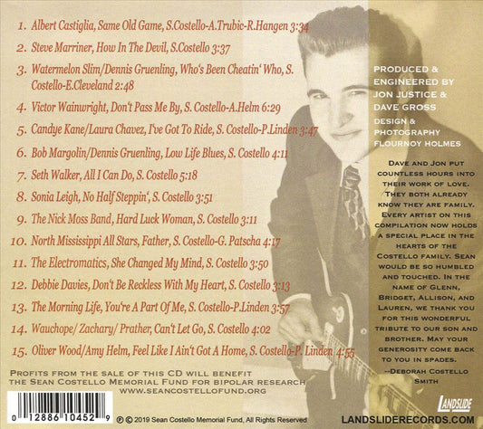 Don't Pass Me By: A Tribute to Sean Costello cover art