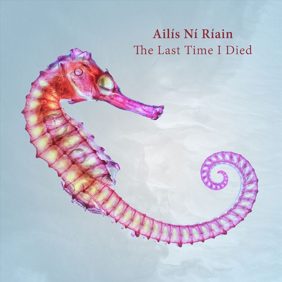Ailís Ní Ríain: The Last Time I Died cover art