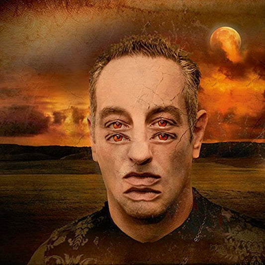 Double Vision cover art