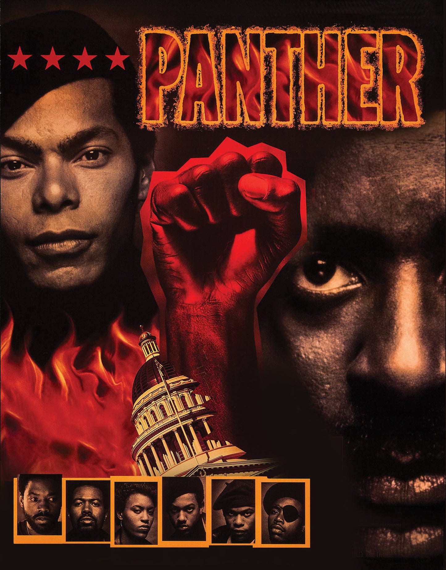 Panther [Blu-ray] cover art
