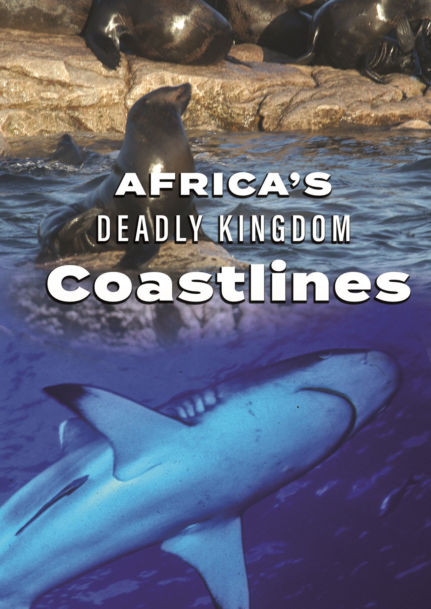 Africa's Deadly Kingdom: Coastlines cover art