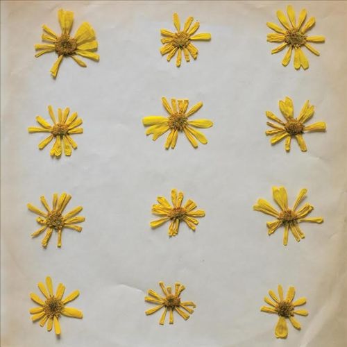 Flowers in the Spring cover art