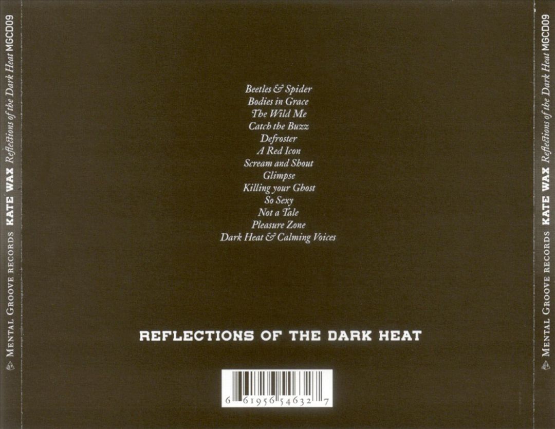 Reflections of the Dark Heat cover art