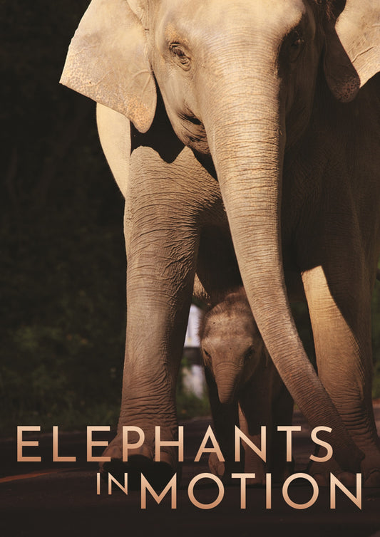 Elephants in Motion cover art