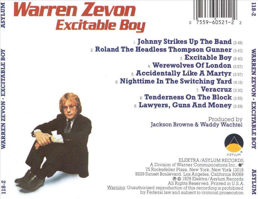 Excitable Boy cover art