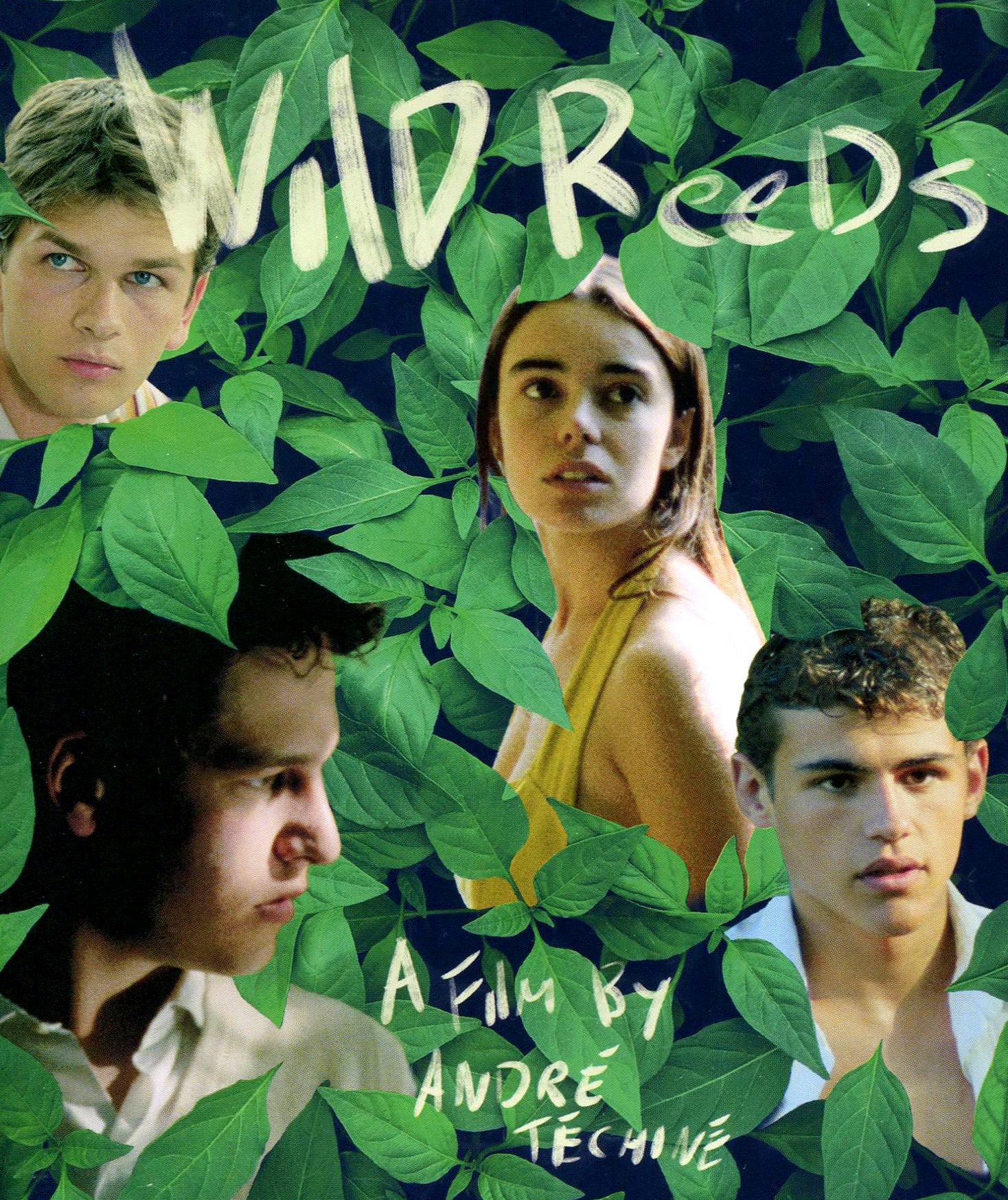 Wild Reeds [Blu-ray] cover art
