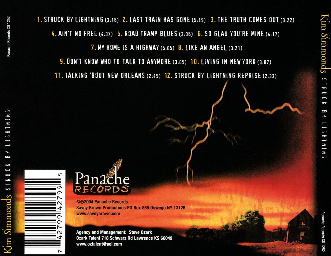 Struck by Lightning cover art