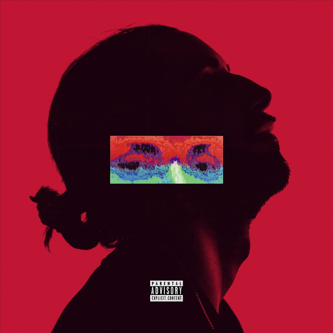 Amina cover art