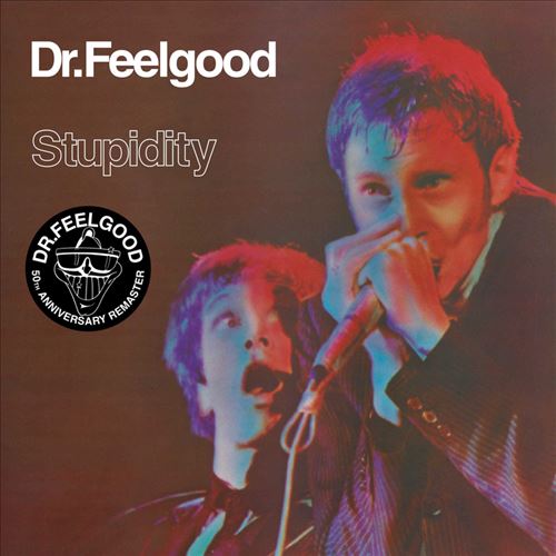 Stupidity cover art