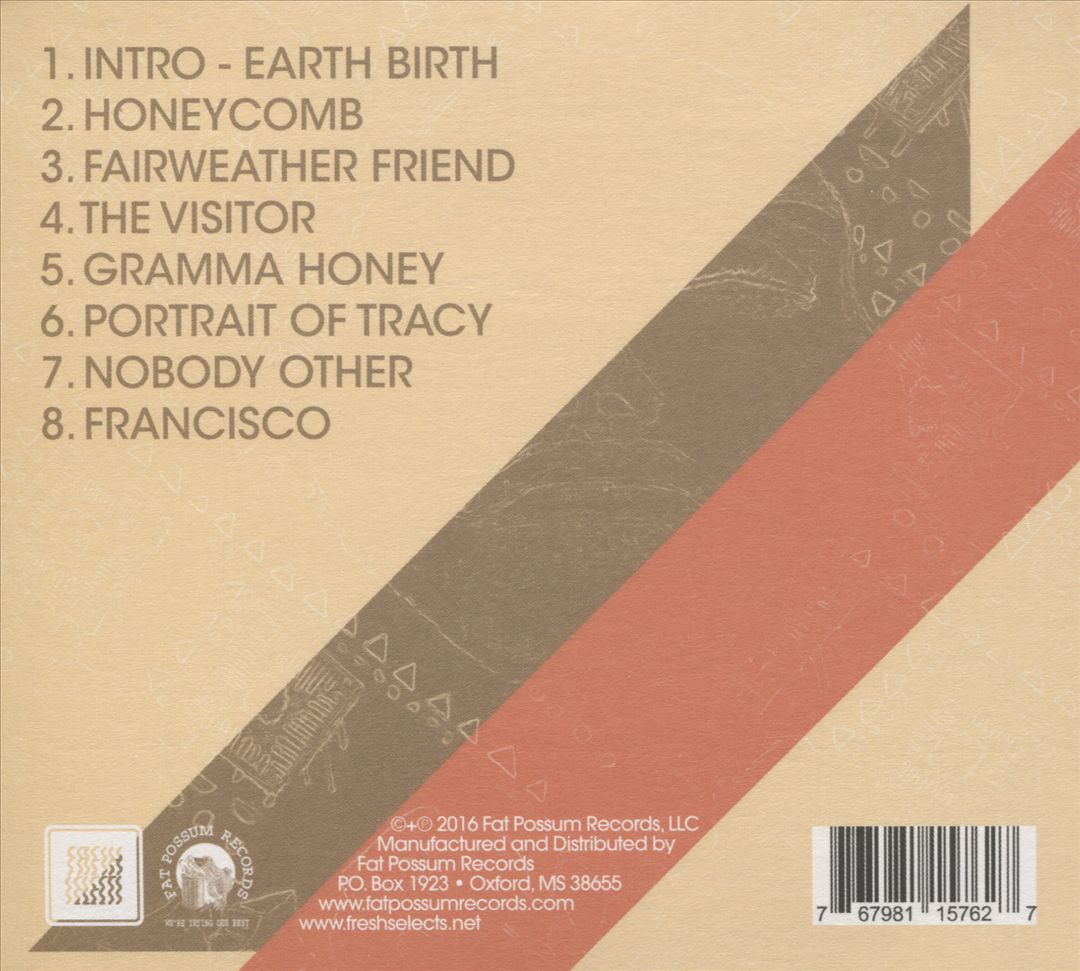 Visitor cover art