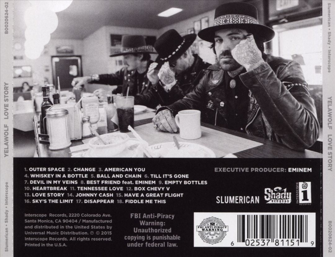 Love Story cover art