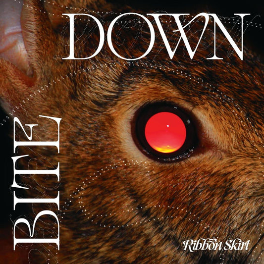 Bite Down cover art