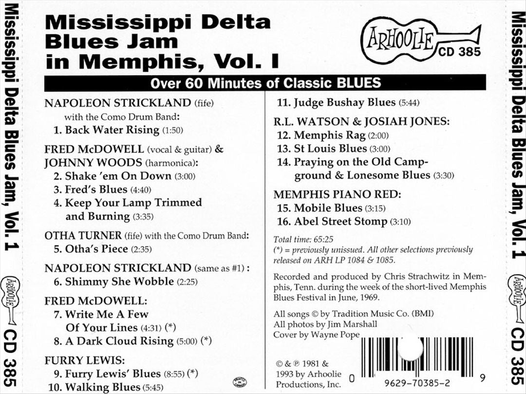 Mississippi Delta Blues Jam in Memphis, Vol. 1 cover art