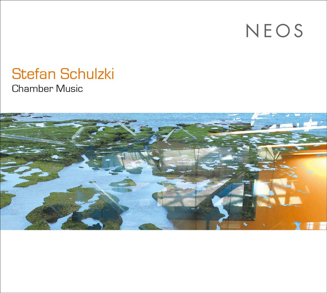 Stefan Schulzki: Chamber Music cover art