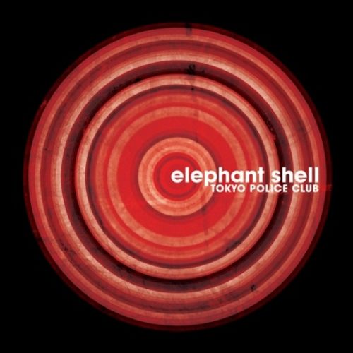 Elephant Shell cover art