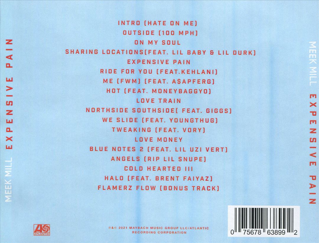 Expensive Pain cover art