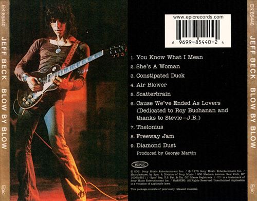 Blow by Blow cover art