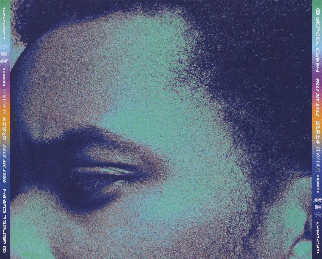 Melt My Eyez See Your Future cover art